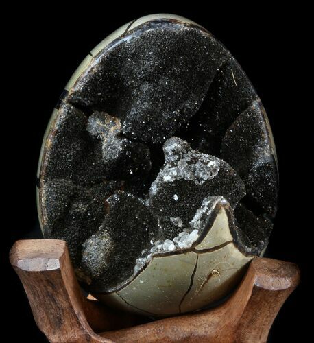 Septarian Dragon Egg Geode - Black Crystals #34709